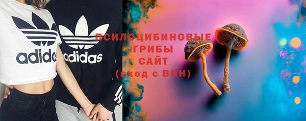 PSILOCYBIN Мегион
