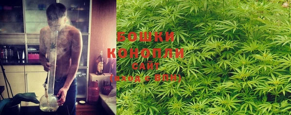PSILOCYBIN Мегион