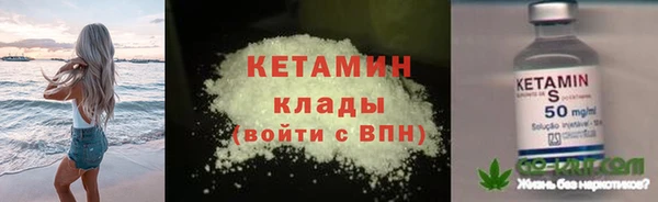 шишки Медвежьегорск