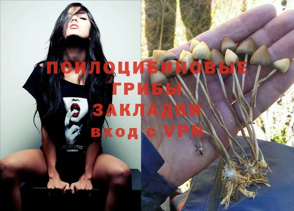 PSILOCYBIN Мегион