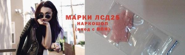 шишки Медвежьегорск