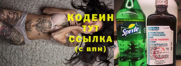 шишки Медвежьегорск