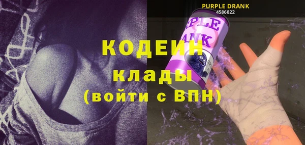 шишки Медвежьегорск