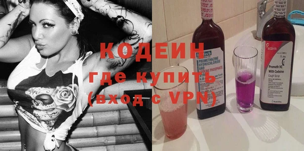 шишки Медвежьегорск