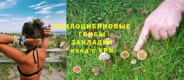 шишки Медвежьегорск
