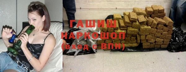 шишки Медвежьегорск