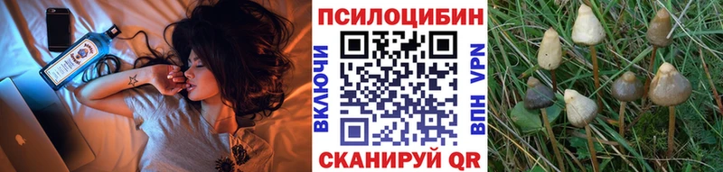 Галлюциногенные грибы GOLDEN TEACHER  Купить  Зея 